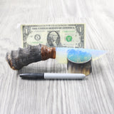 Springbok Horn Handle Opalite Blade Ornamental Knife #6250     Mountain Man Knife