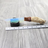 Coyote Foot Handle Opalite Blade Ornamental Knife #1250     Mountain Man Knife