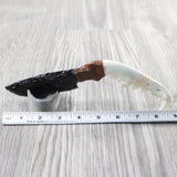 Coyote Jaw Handle Obsidian Blade Ornamental Knife #1350  Mountain Man Knife