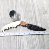 Coyote Jaw Handle Obsidian Blade Ornamental Knife #1350  Mountain Man Knife