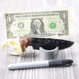 Muskrat Skull Handle Obsidian Blade Ornamental Knife #0350  Mountain Man Knife