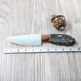 Orthoceras Fossil Handle Opalite Blade Ornamental Knife #8550     Mountain Man Knife