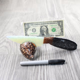 Orthoceras Fossil Handle Opalite Blade Ornamental Knife #8550     Mountain Man Knife