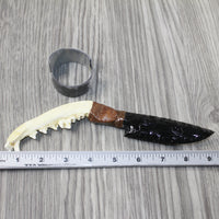 Coyote Jaw Handle Obsidian Blade Ornamental Knife #8445 Mountain Man Knife