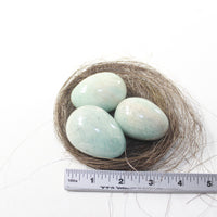 Nest Of 3 Amonzonite Eggs  Combined Weight 334 Grams #2136