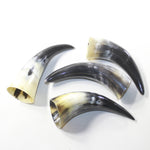 4 Small Polished Cow Horns #5239 Natural colored