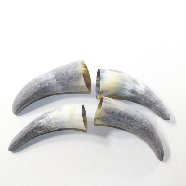 4 Raw Unfinished Cow Horn Tips #2838 Natural Colored