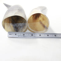 2 Raw Unfinished Cow Horns #3441 Natural Colored