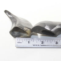 2 Polished Goat Horns #8735 Natural Colored