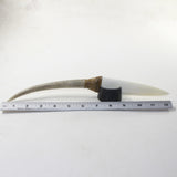 Deer Antler Handle Bone Blade Ornamental Knife #2941 Mountain Man Knife