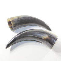 2 Polished Cow Horns #483-2 Natural colored