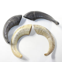 4 Sheep Horns  #073-2 Natural Colored Polished Ram Horns