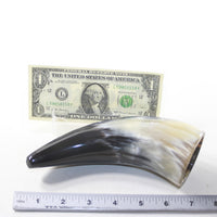 1 Small Polished Cow Horn #363-2 Natural Colored