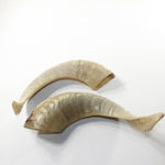 2 Sheep Horn  #8138 Natural Colored Polished Ram Horns z