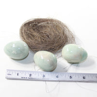 Nest Of 3 Amonzonite Eggs  Combined Weight 334 Grams #2136