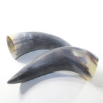 2 Raw Unfinished Cow Horns #5242 Natural Colored