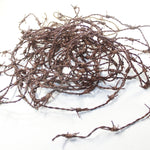 10 Yards of Leather Barbed Wire Antique Brown Color  #1042