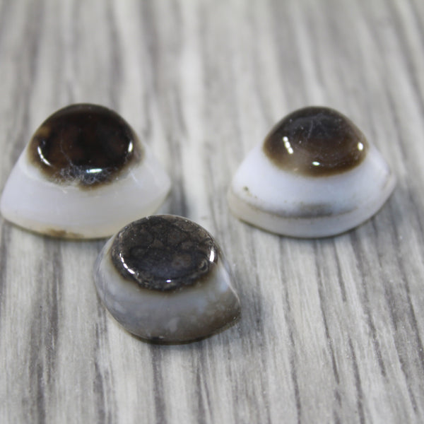 3 Agate Eyes   #1842 Naturally Formed