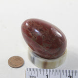 1 Red Jasper Egg  128 Grams #443-1 Gemstone Egg