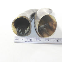 2 Polished Cow Horns #213-1 Natural colored