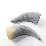 2 Raw Unfinished Cow Horn Tips #0338 Natural Colored