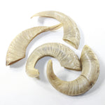 4 Sheep Horns  #7138 Natural Colored Polished Ram Horns z