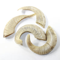 4 Sheep Horns  #6138 Natural Colored Polished Ram Horns