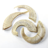 4 Sheep Horns  #6138 Natural Colored Polished Ram Horns