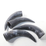 4 Raw Unfinished Cow Horns #203-1 Natural Colored z