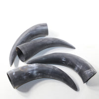 4 Raw Unfinished Cow Horns #203-1 Natural Colored