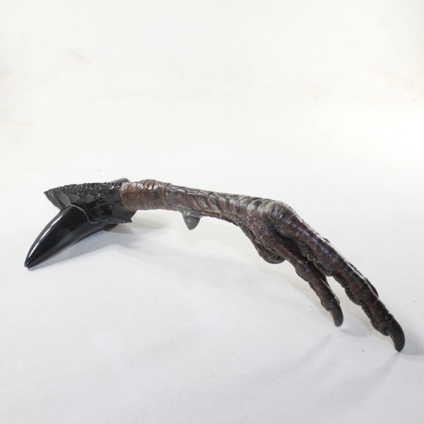 Turkey Foot Handle Obsidian Blade Ornamental Knife #1042 Mountain Man Knife