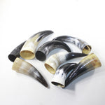 8 Small Polished Cow Horns #8438 Natural colored