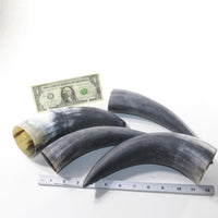 4 Raw Unfinished Cow Horns #7736 Natural Colored