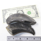 2 Polished Goat Horns #8735 Natural Colored