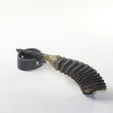 Springbok Horn Handle Obsidian Blade Ornamental Knife #1341 Mountain Man Knife