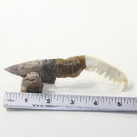 Raccoon Jaw Handle Stone Blade Ornamental Knife #13641 Mountain Man Knife