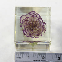 1 Carnation Specimen Paperweight Cube.  #173-1