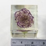 1 Carnation Specimen Paperweight Cube.  #173-1