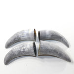 4 Raw Unfinished Cow Horn Tips #9635 Natural Colored
