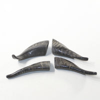 4 Small Polished Goat Horns #5937 Natural colored