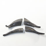 4 Small Polished Goat Horns #5937 Natural colored