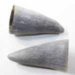 2 Raw Unfinished Cow Horn Tips #7842 Natural Colored