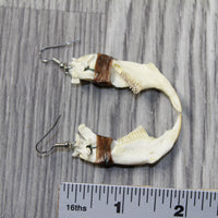 Muskrat Jaw Earrings  #4942  Mountain Man Earrings