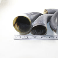 4 Raw Unfinished Cow Horns #7736 Natural Colored
