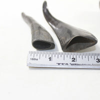 4 Small Polished Goat Horns #5937 Natural colored