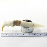 Beaver Jaw Handle Bone Blade Ornamental Knife #13842 Mountain Man Knife
