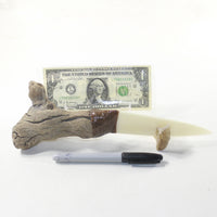 Grapevine Wood Handle Bone Blade Ornamental Knife #3941 Mountain Man Knife
