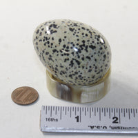 1 Dalmatian Egg  129 Grams #0241 Gemstone Egg