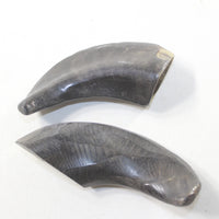 2 Polished Goat Horns #8735 Natural Colored