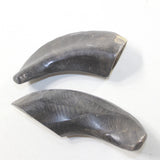 2 Polished Goat Horns #8735 Natural Colored